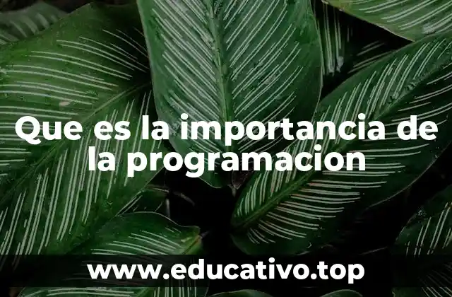 Que es la importancia de la programacion
