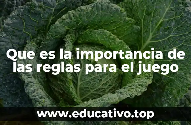 Que es la importancia de las reglas para el juego