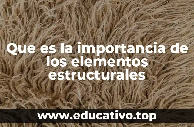 Que es la importancia de los elementos estructurales