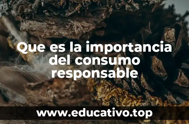 Cómo el consumo responsable impacta en el medio ambiente