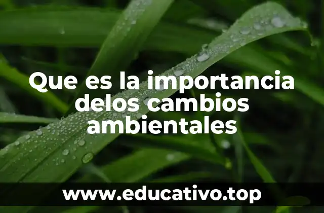 Que es la importancia delos cambios ambientales
