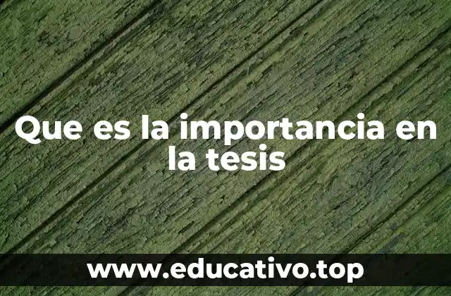 Que es la importancia en la tesis