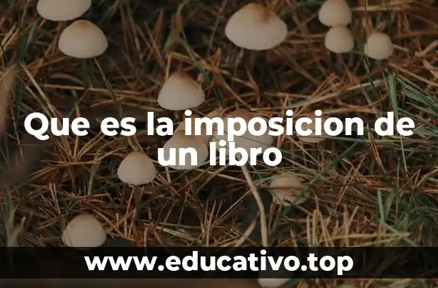 Que es la imposicion de un libro