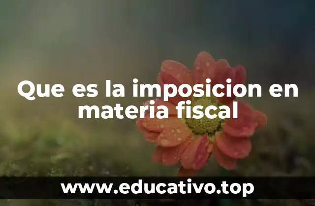 Que es la imposicion en materia fiscal