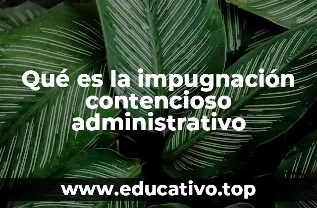 Qué es la impugnación contencioso administrativo