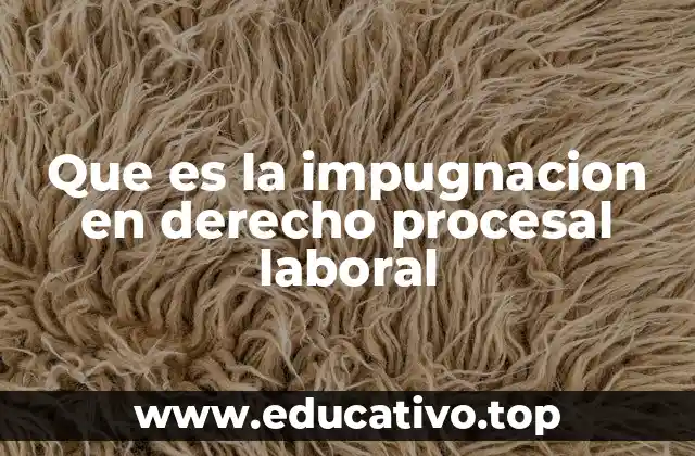 Que es la impugnacion en derecho procesal laboral