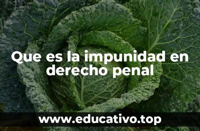 Que es la impunidad en derecho penal