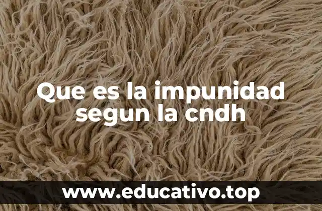 Que es la impunidad segun la cndh