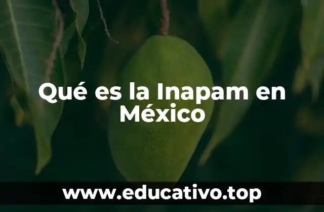 Qué es la Inapam en México