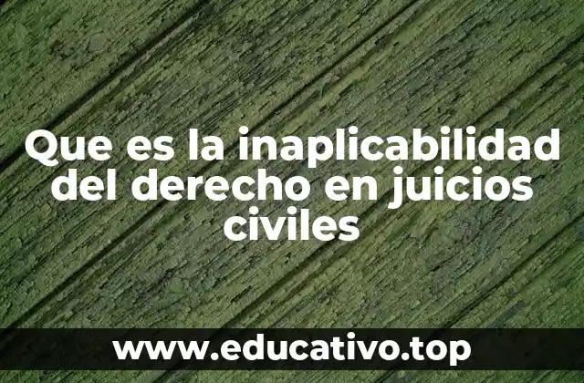 Que es la inaplicabilidad del derecho en juicios civiles