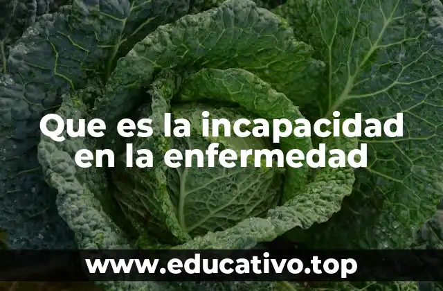 Que es la incapacidad en la enfermedad