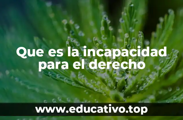 Que es la incapacidad para el derecho