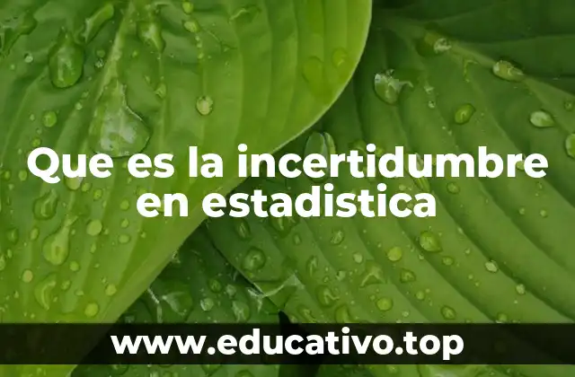Que es la incertidumbre en estadistica