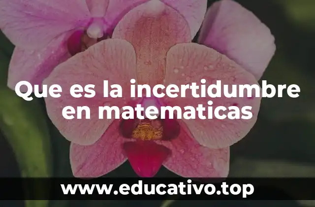 Que es la incertidumbre en matematicas