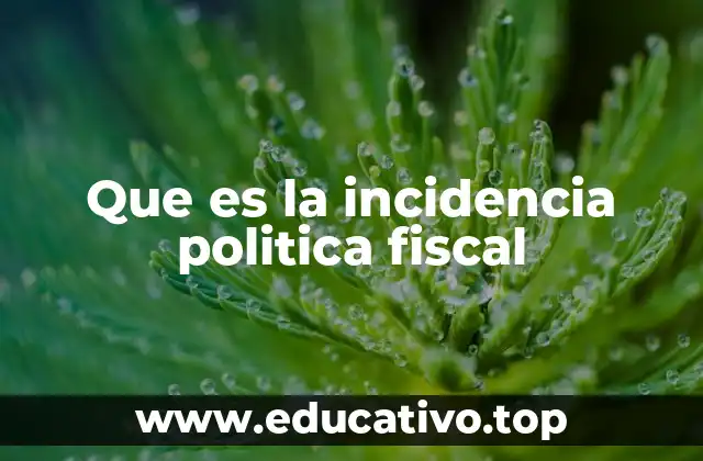 Que es la incidencia politica fiscal
