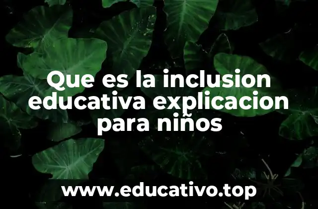 Que es la inclusion educativa explicacion para niños