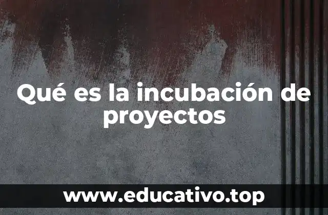 Qué es la incubación de proyectos