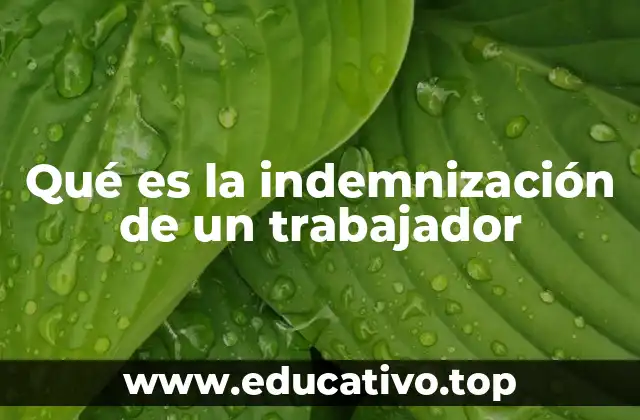 La importancia de la protección laboral en el cese de empleo