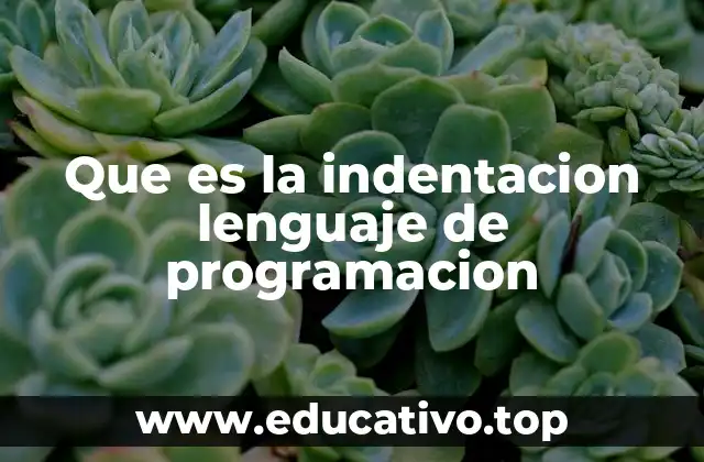 Que es la indentacion lenguaje de programacion