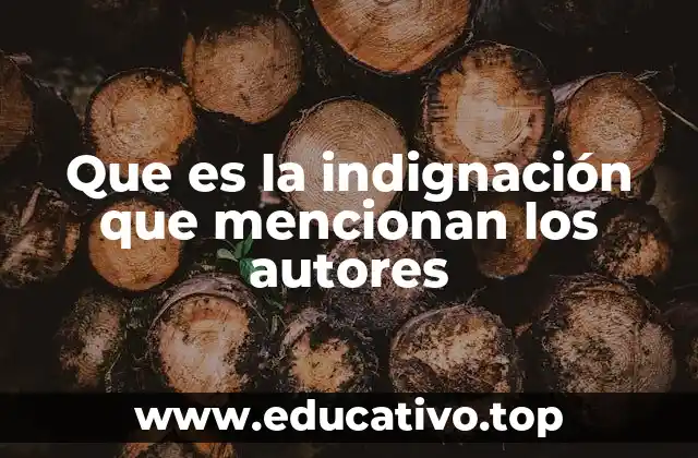 Que es la indignación que mencionan los autores