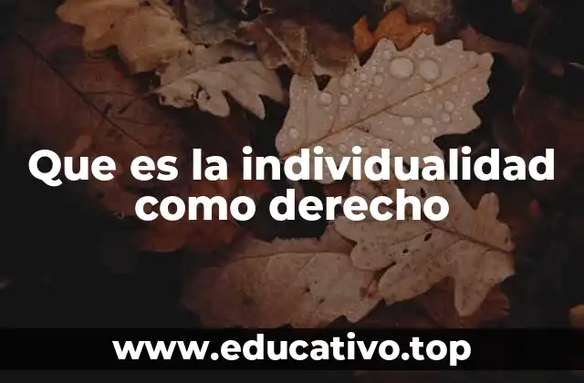 Que es la individualidad como derecho