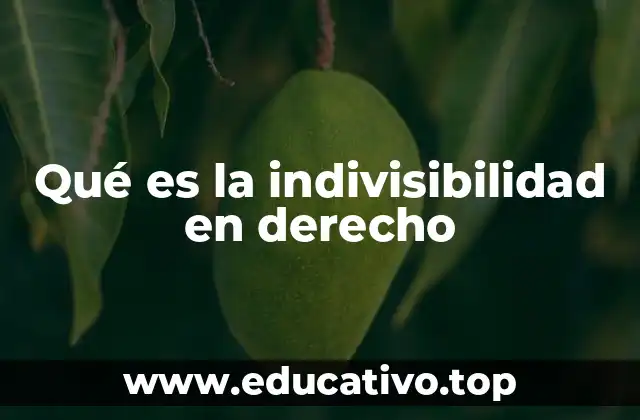 Qué es la indivisibilidad en derecho