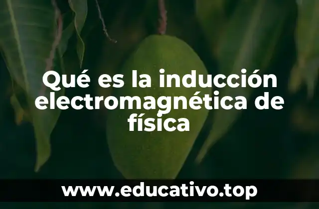 Qué es la inducción electromagnética de física