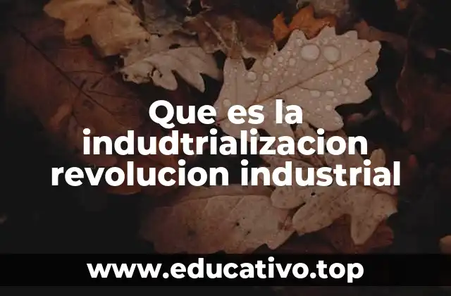 El surgimiento de una nueva sociedad industrial