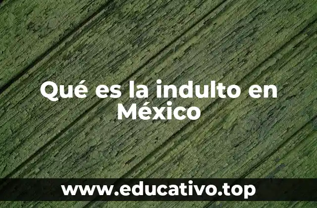 Qué es la indulto en México