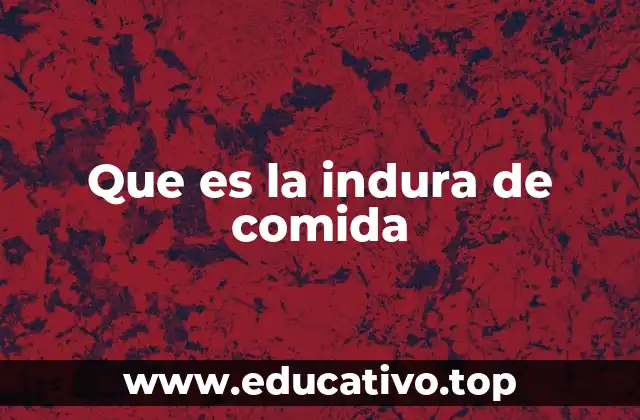 Que es la indura de comida