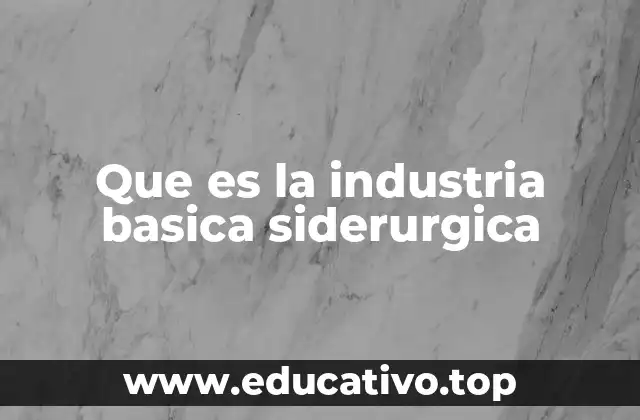 Que es la industria basica siderurgica