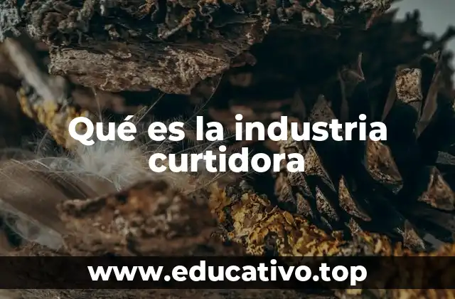 Qué es la industria curtidora