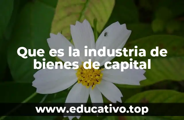 Que es la industria de bienes de capital