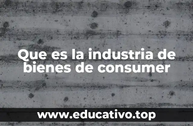 Que es la industria de bienes de consumer