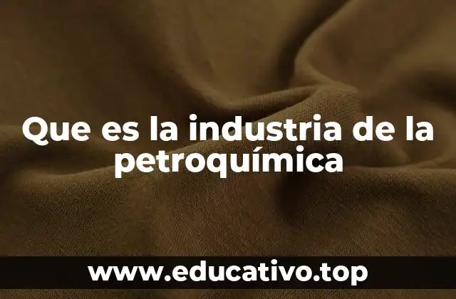Que es la industria de la petroquímica