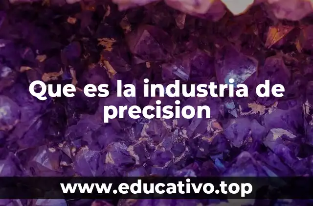 Que es la industria de precision