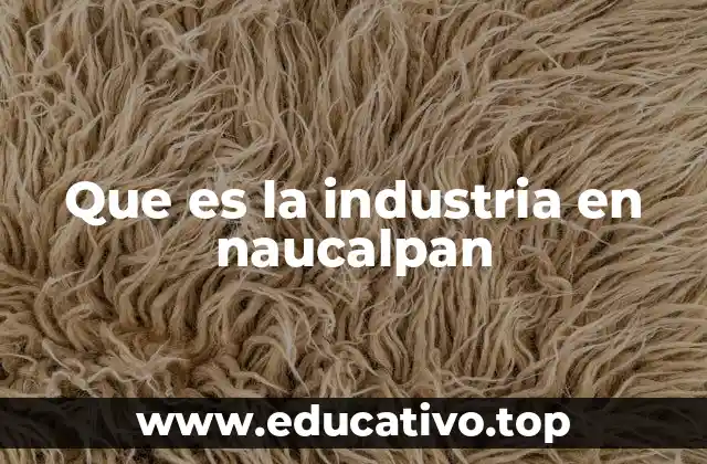 Que es la industria en naucalpan