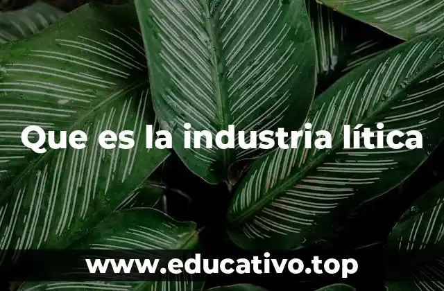 Que es la industria lítica