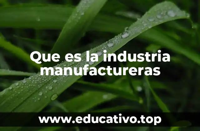 Que es la industria manufactureras