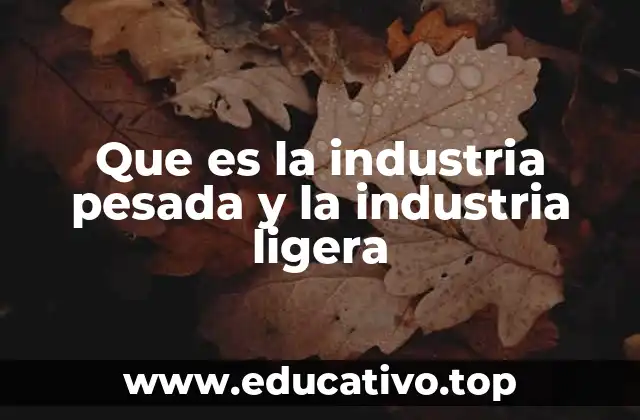 Que es la industria pesada y la industria ligera