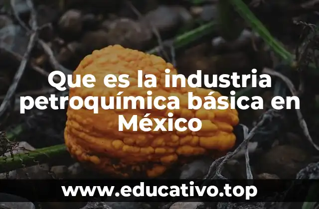 Que es la industria petroquímica básica en México