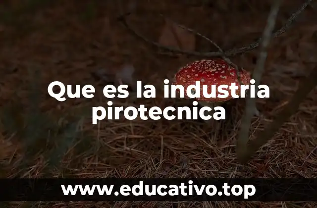 Que es la industria pirotecnica