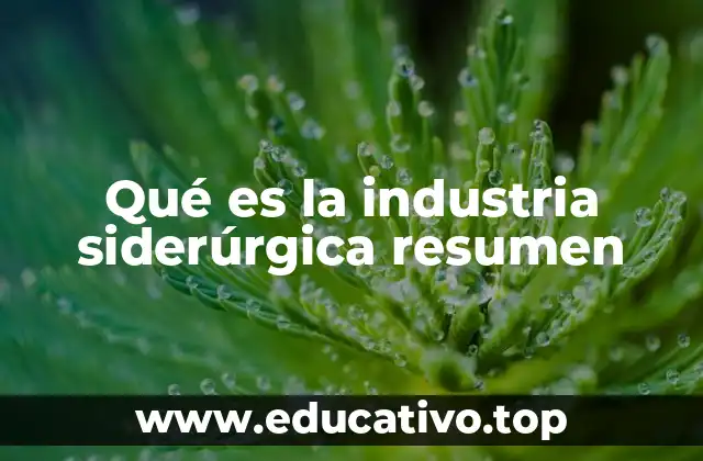 Qué es la industria siderúrgica resumen