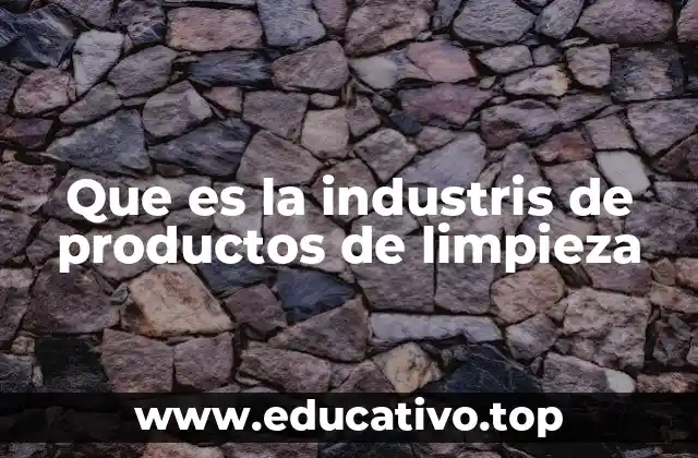 Que es la industris de productos de limpieza