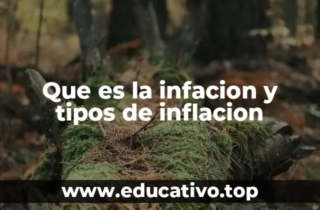 Que es la infacion y tipos de inflacion