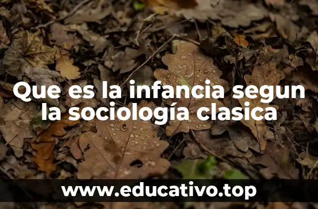 Que es la infancia segun la sociología clasica