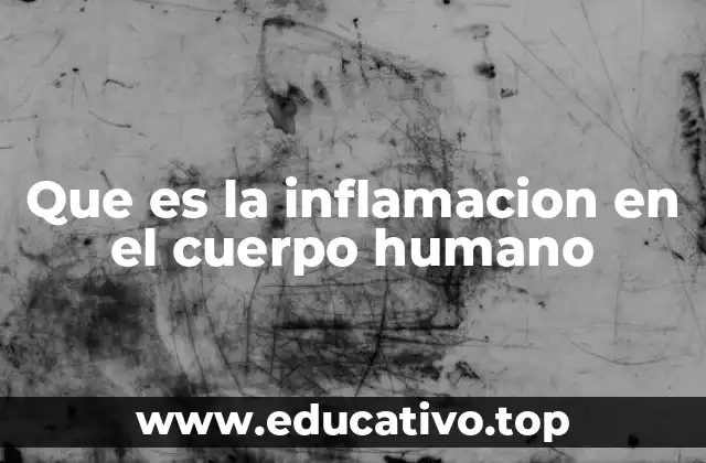 La respuesta inmunológica y el papel de la inflamación