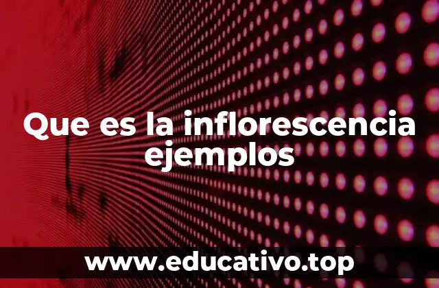 Que es la inflorescencia ejemplos