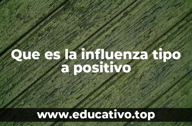 Que es la influenza tipo a positivo
