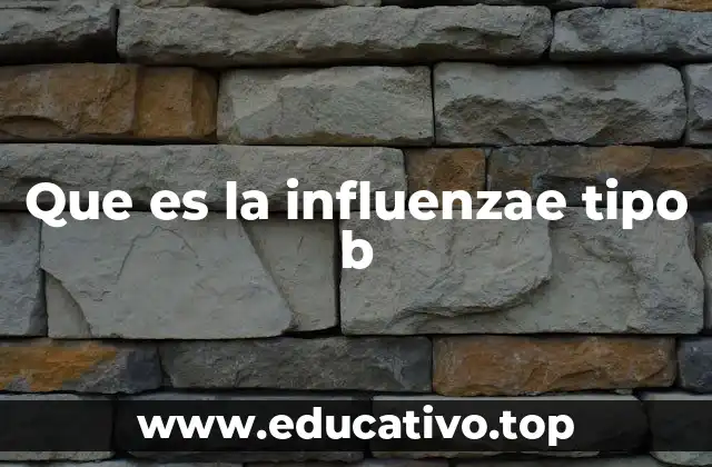 Que es la influenzae tipo b